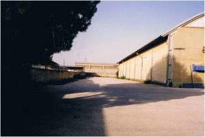 Immagine6